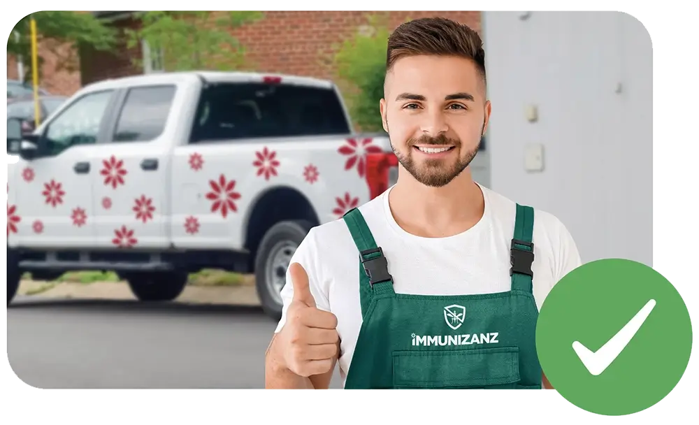 immunizanz installazione